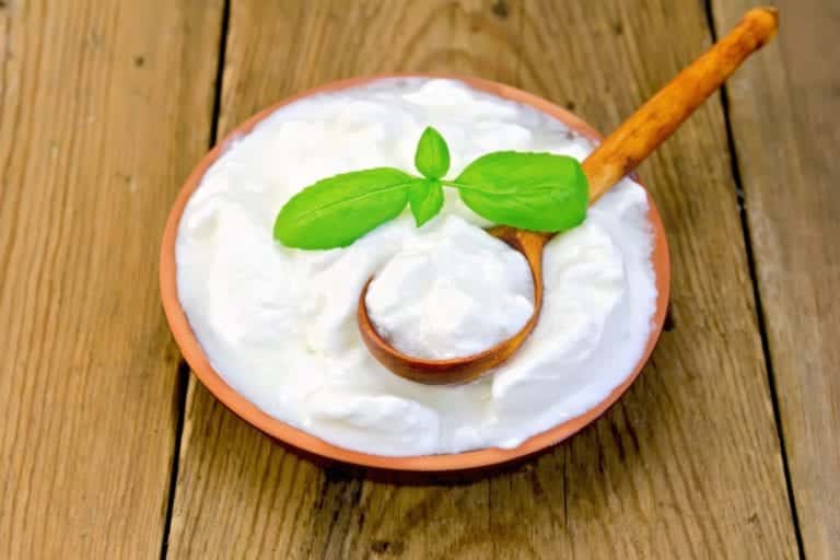 What Are Probiotics And Their Benefits For Our Health