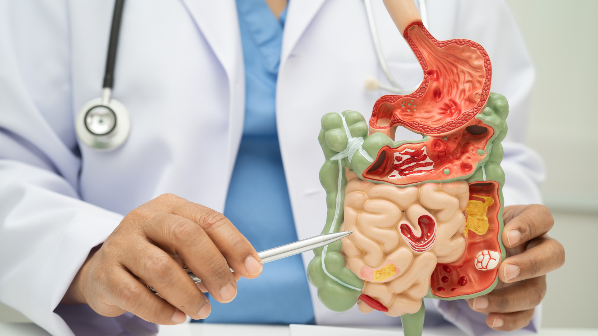 How to Improve Your Digestive Health