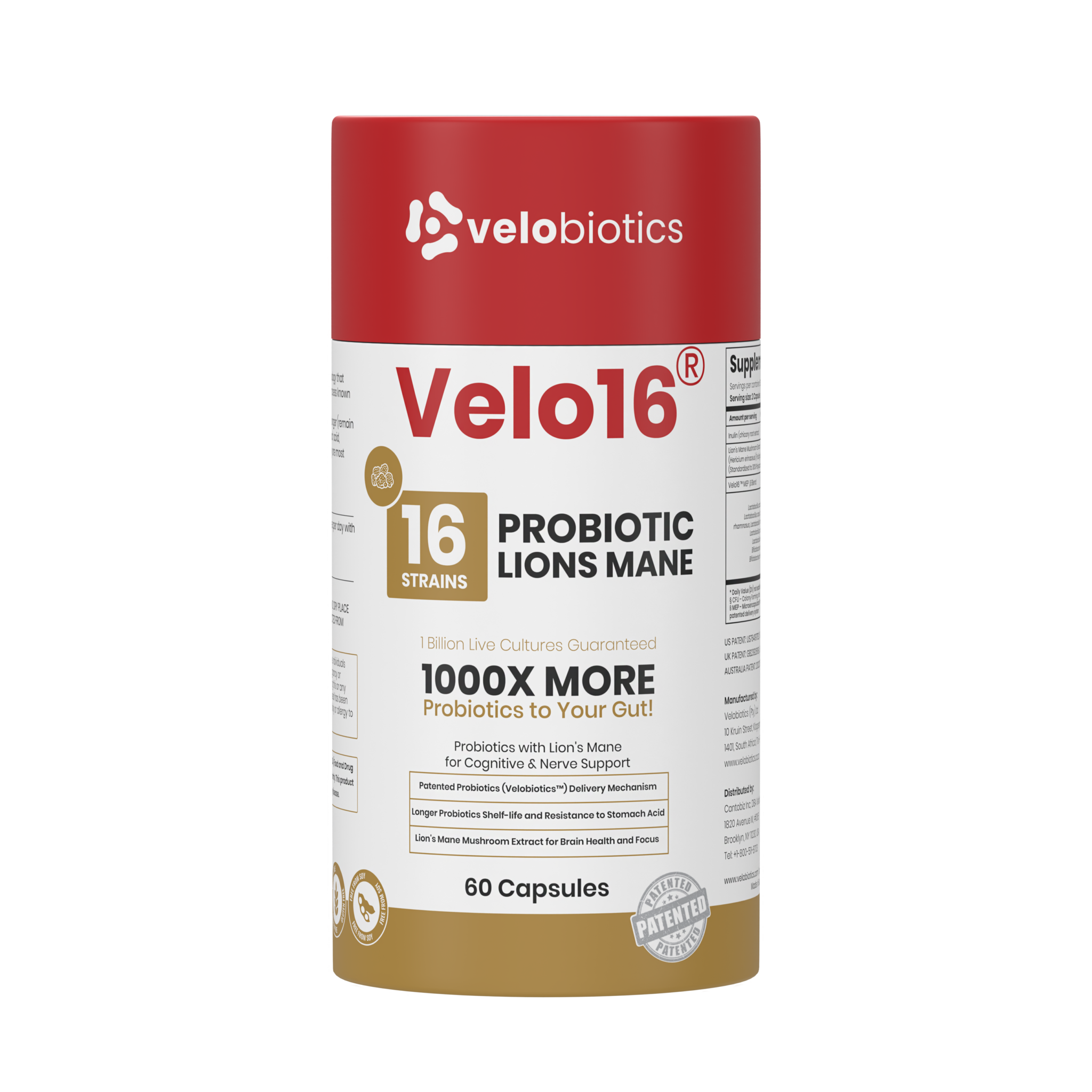 Velo16 Probiotics Lions Mane supplement bottle with 16 strains for gut health and cognitive support, 60 capsules.