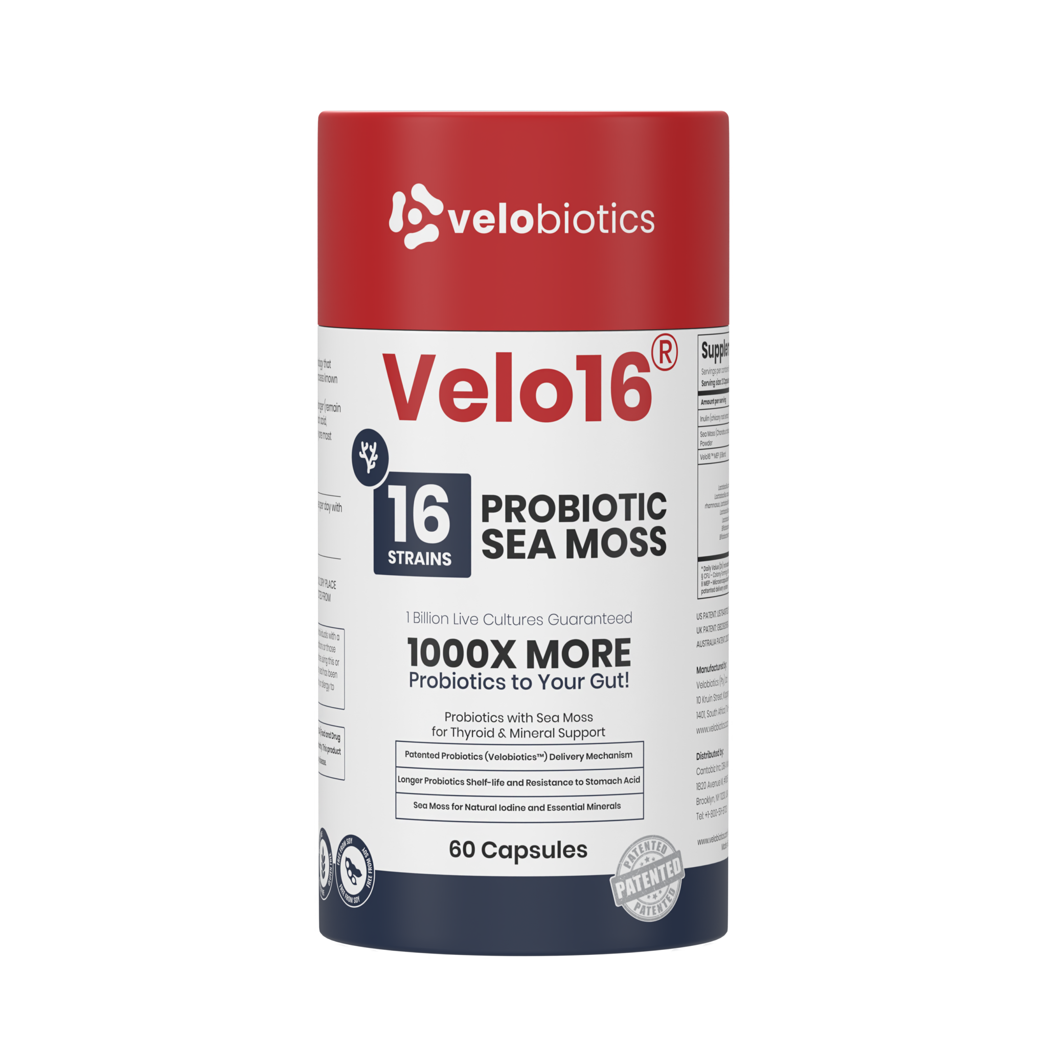 Velo16 Probiotics Sea Moss supplement with 16 strains, lion’s mane, and patented probiotics for gut and cognitive support.