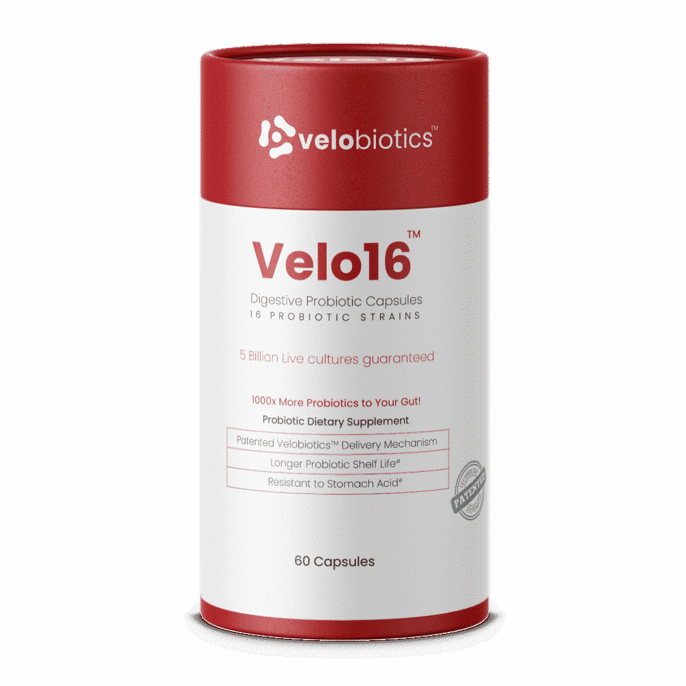 Velo16 Probiotic Digestive 60 Capsules