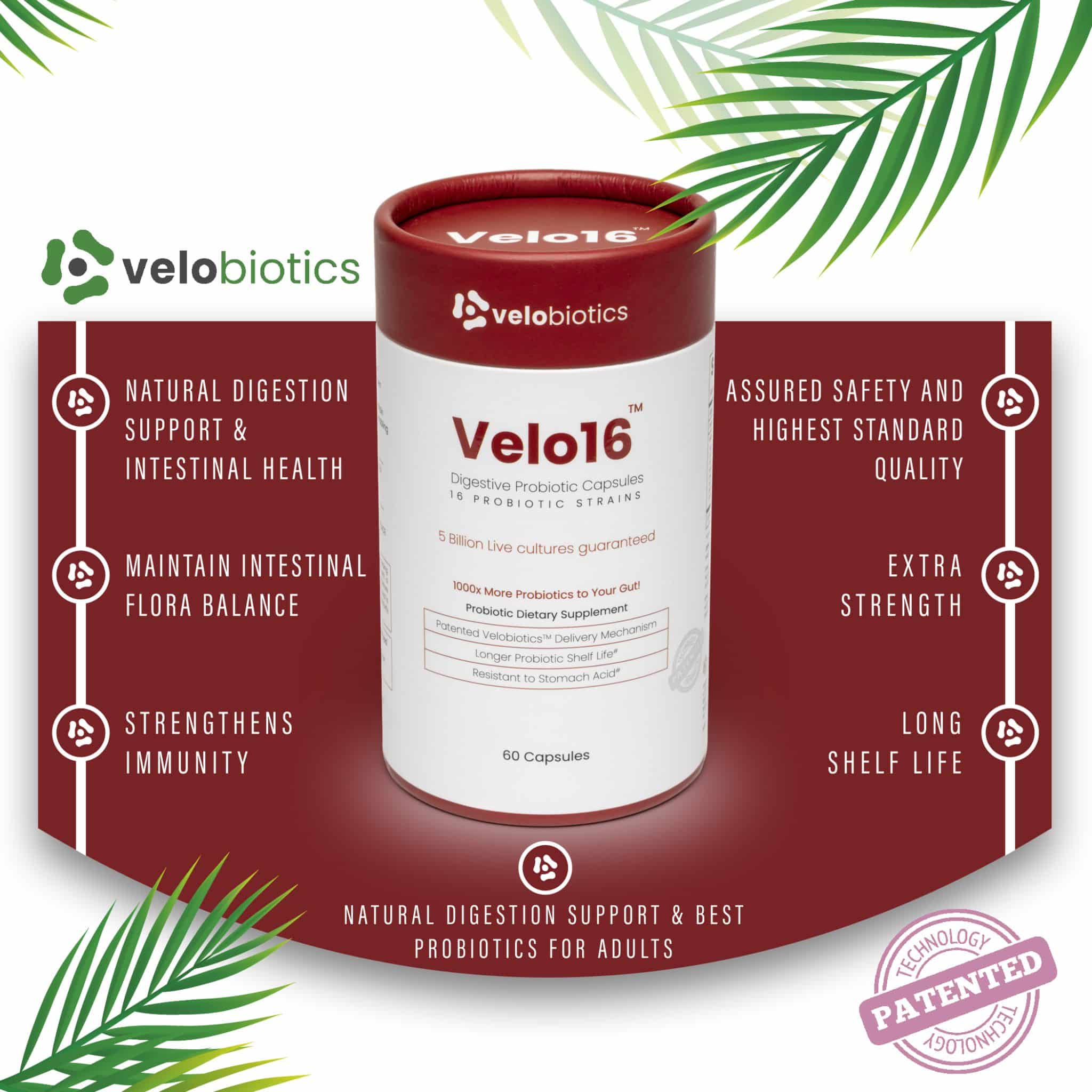 Velo16 Probiotic Digestive Capsules