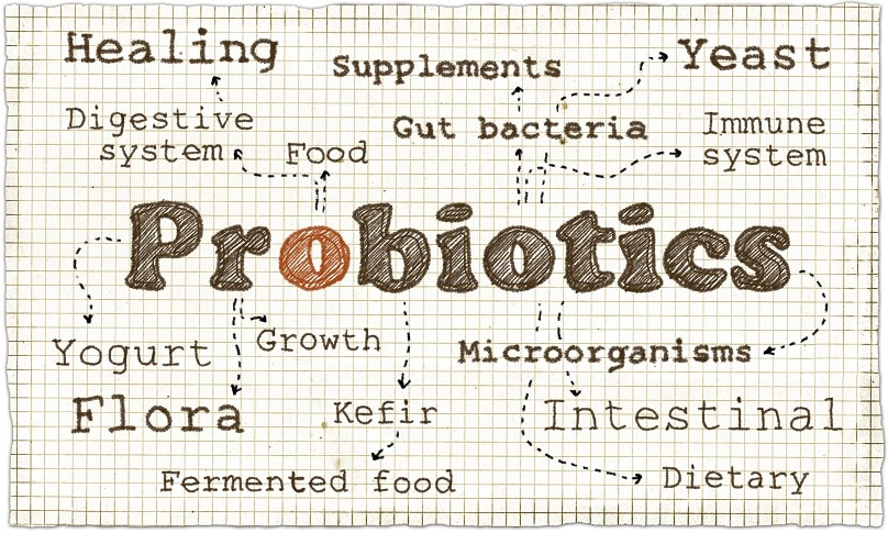 Medical Benefits of Probiotics