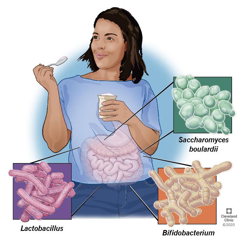 Velobiotics - Benefits of Good Bacteria